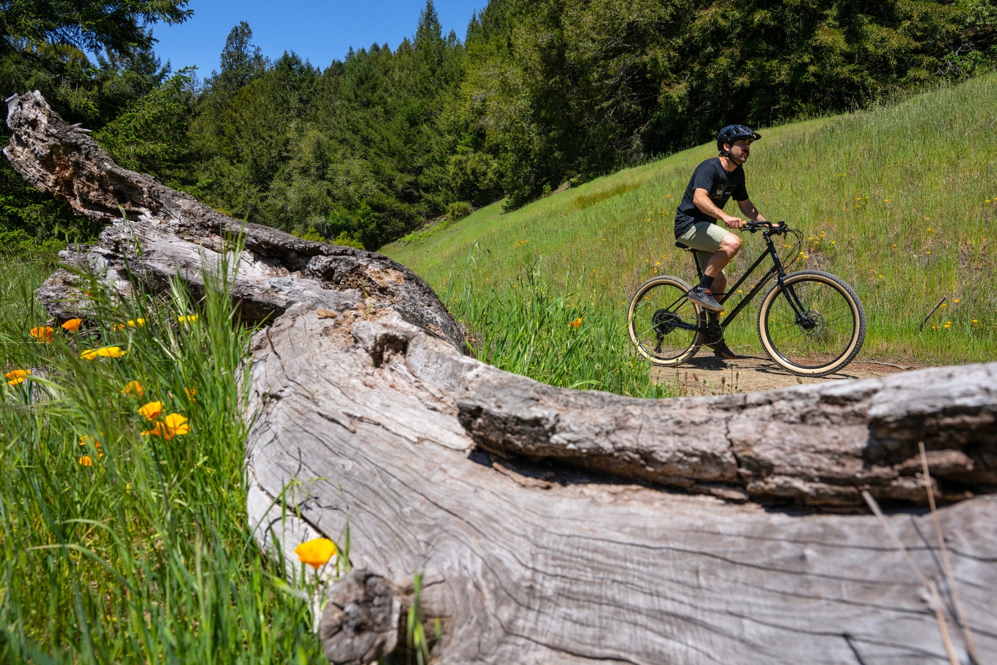 Marin Larkspur 2 - Hybrid Bike - Image 12