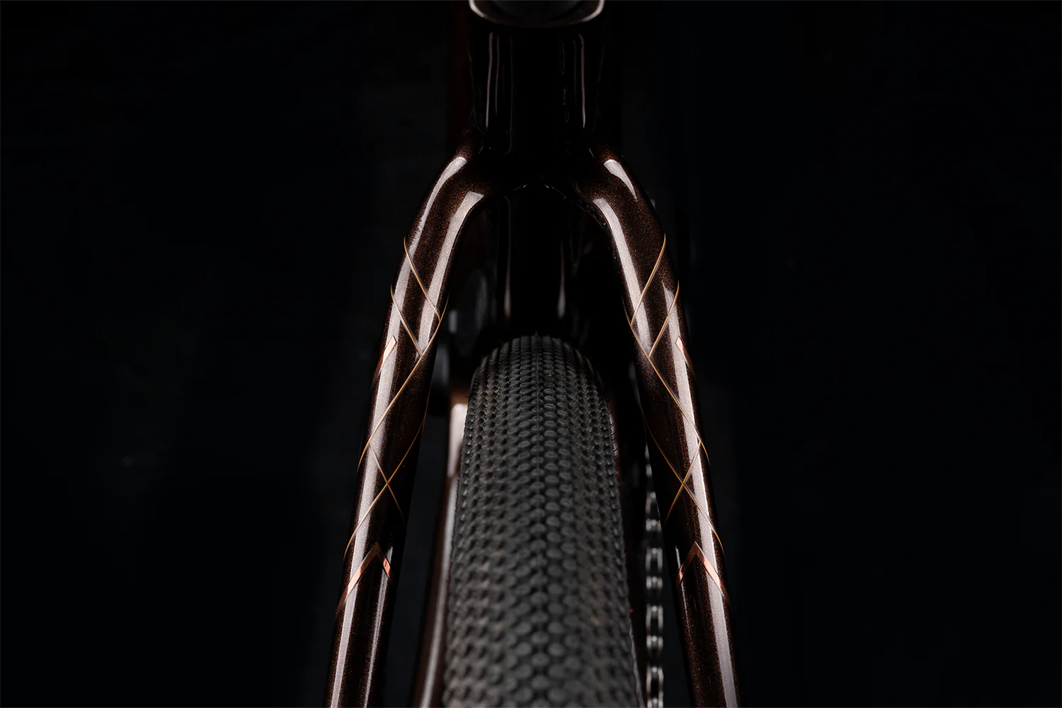 Polygon Tambora AE-N - Carbon Gravel eBike - Image 16