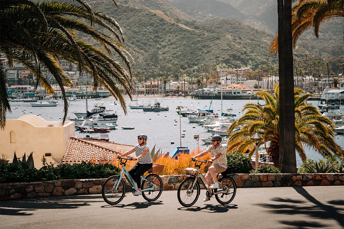 Aventon Pace 4 - Cruiser eBike - Image 16