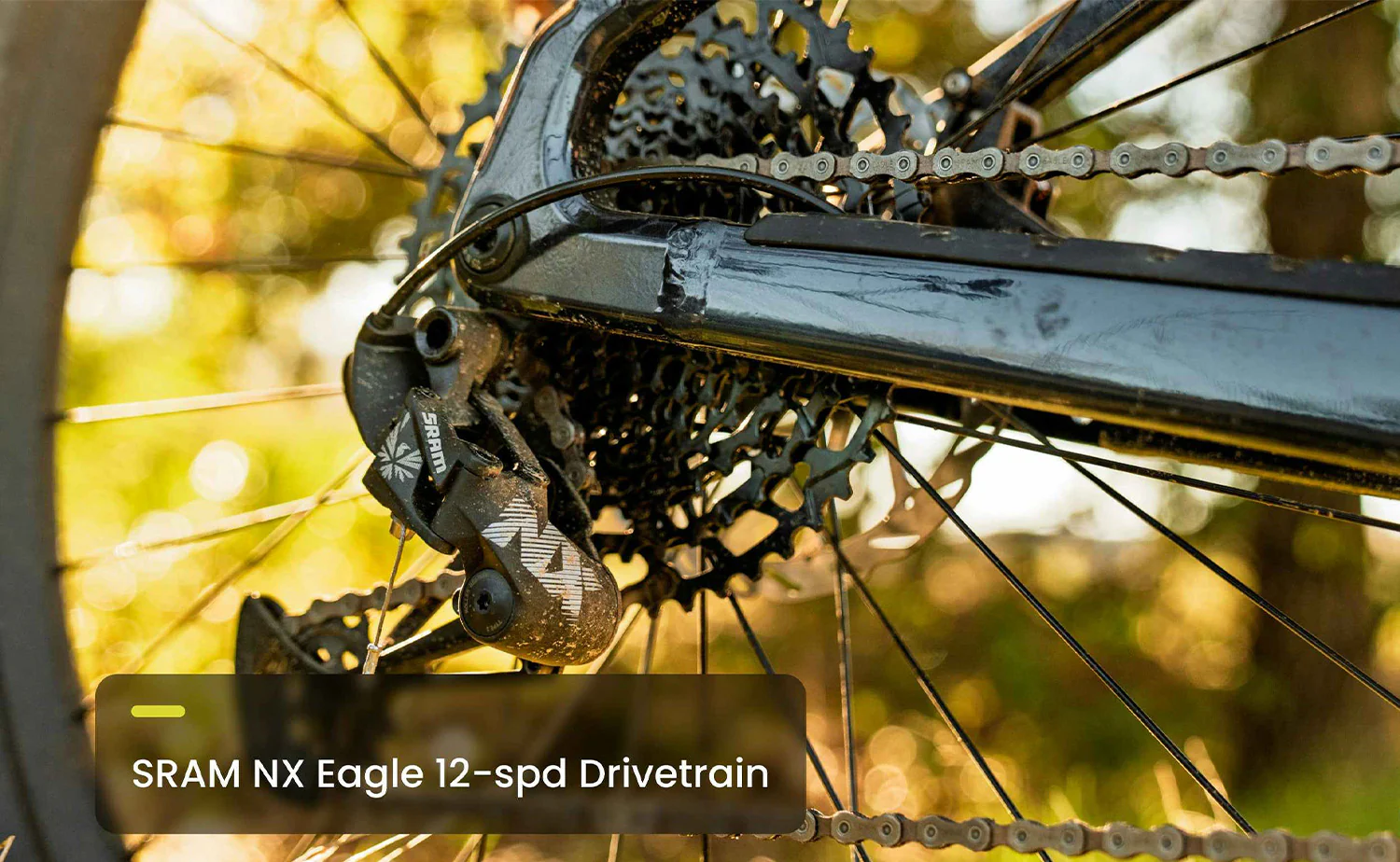 Aventon Ramblas ADV – Hardtail eMTB - Image 12