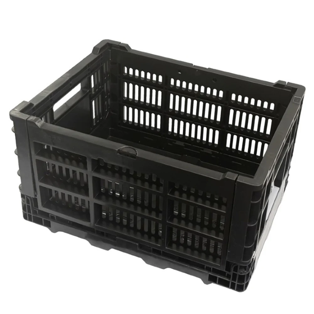 Azur Cargo Basket