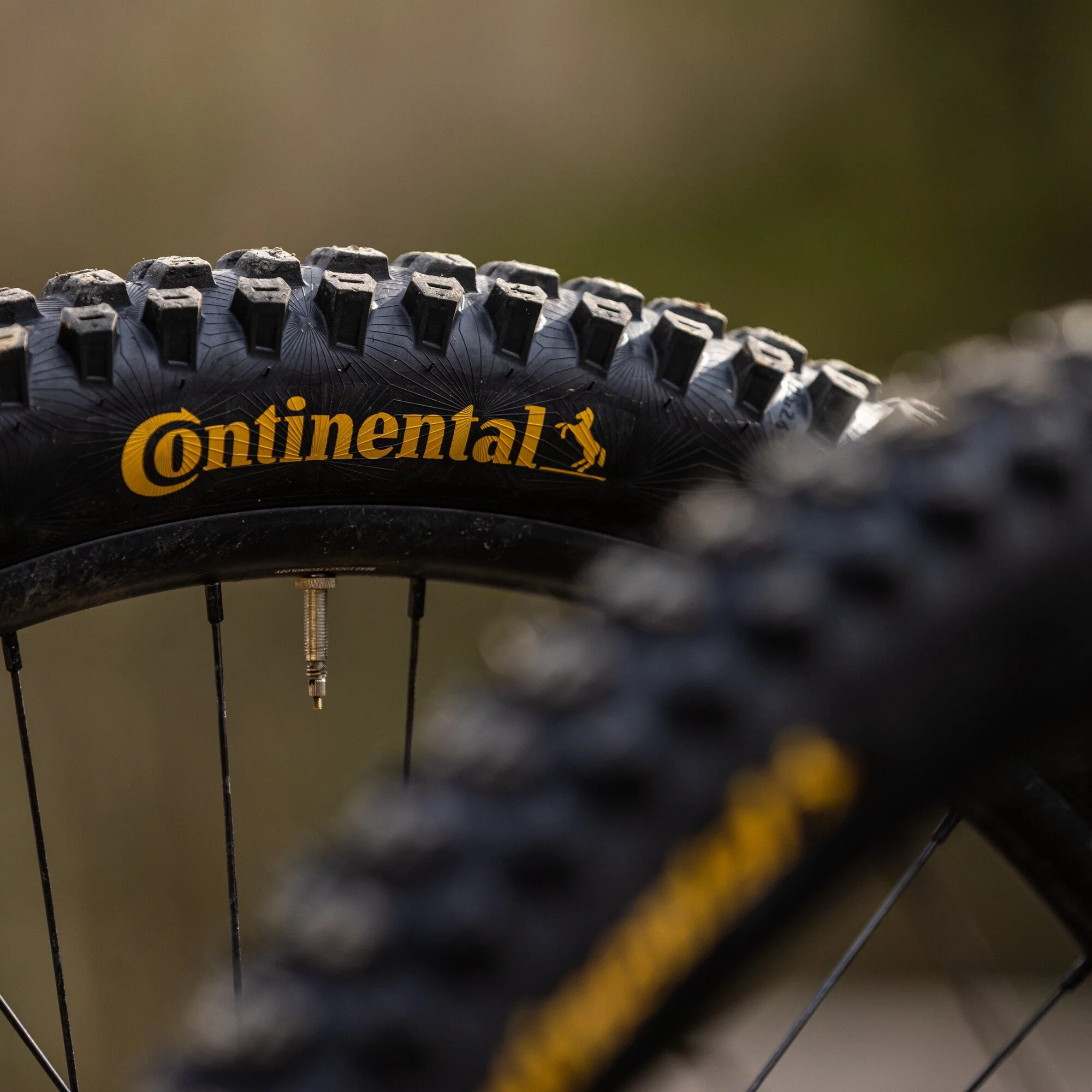 Continental Kryptotal Rear - MTB Tyre - Image 4