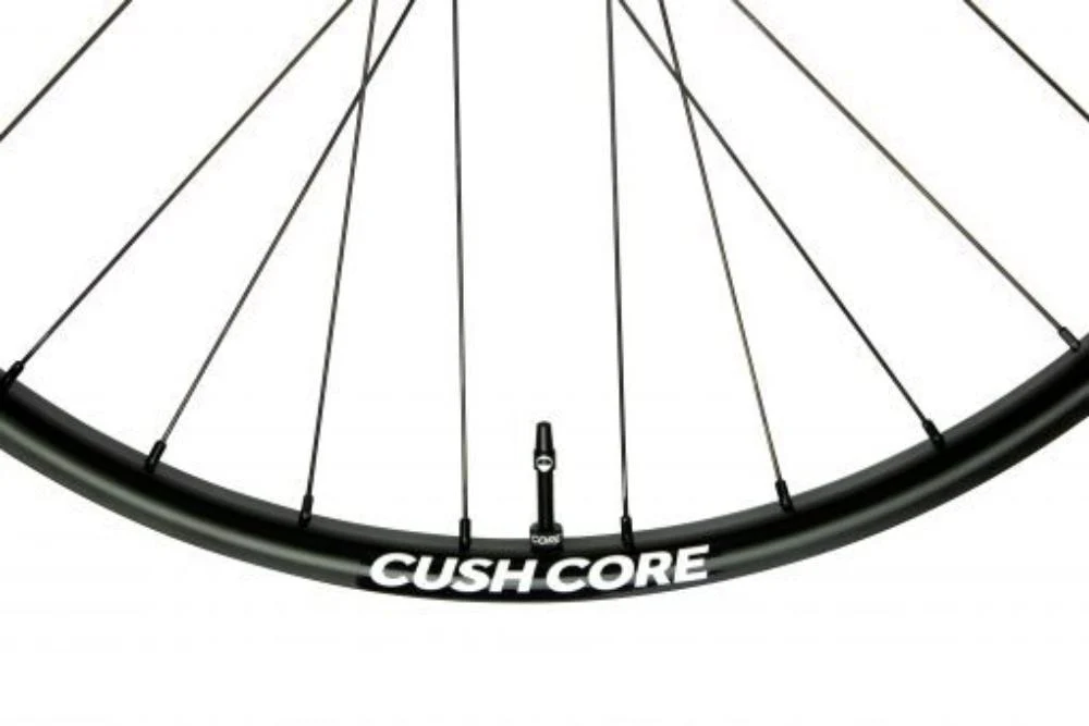 CushCore Tubeless Valves - Image 2