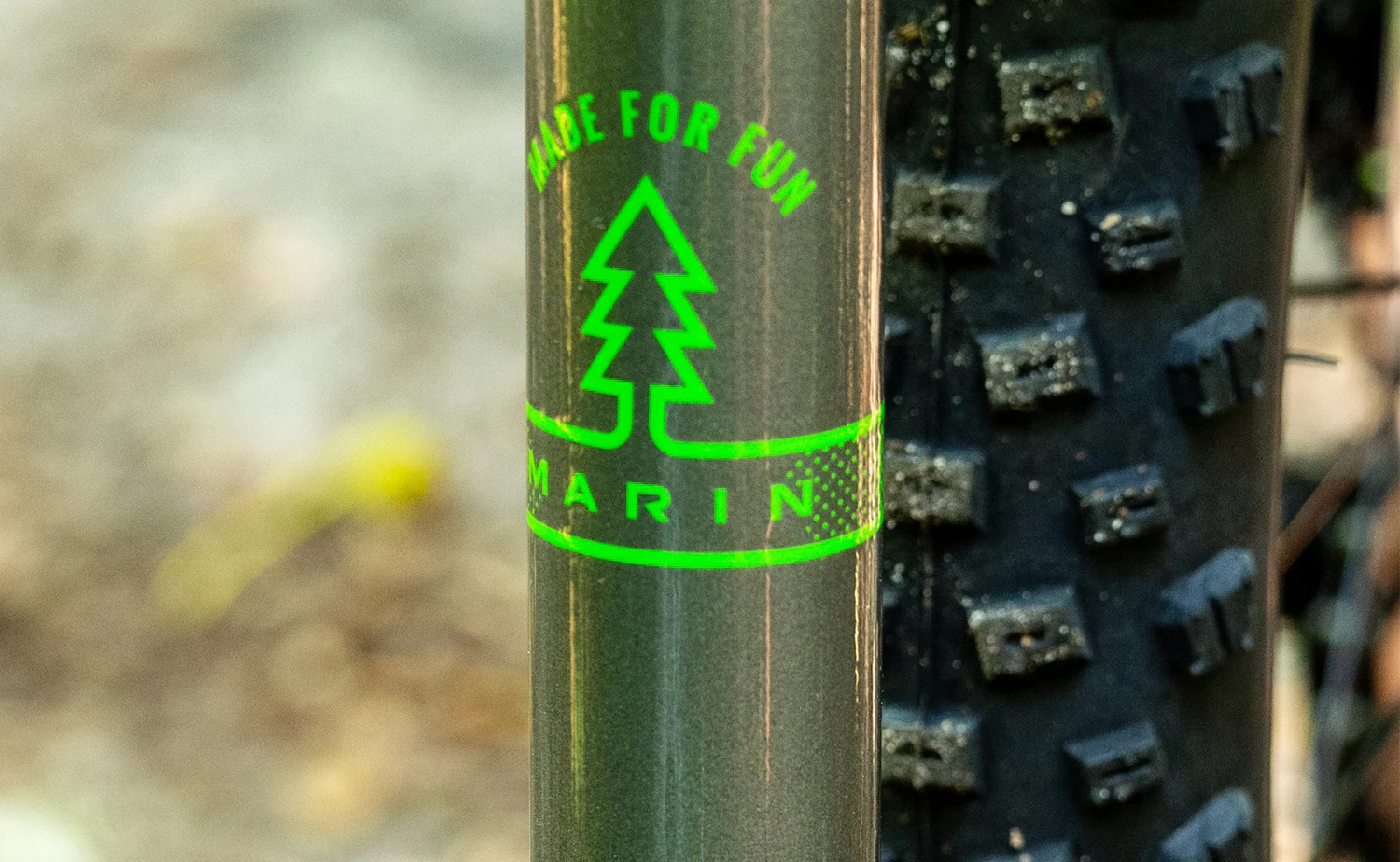 Marin Bayview Trail 24 - Kids Mountain Bike - Image 19