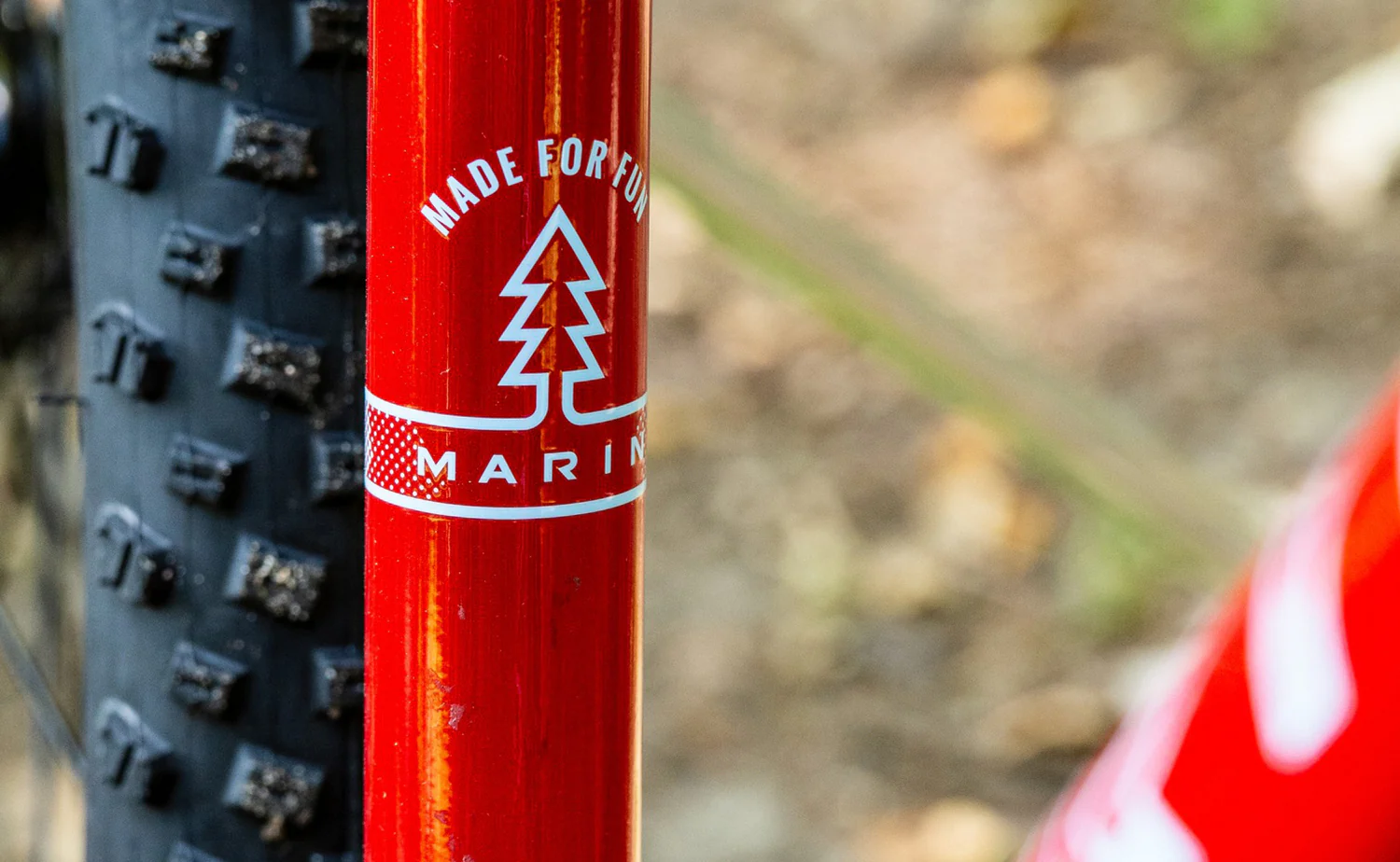 Marin Bayview Trail 24 - Kids Mountain Bike - Image 20