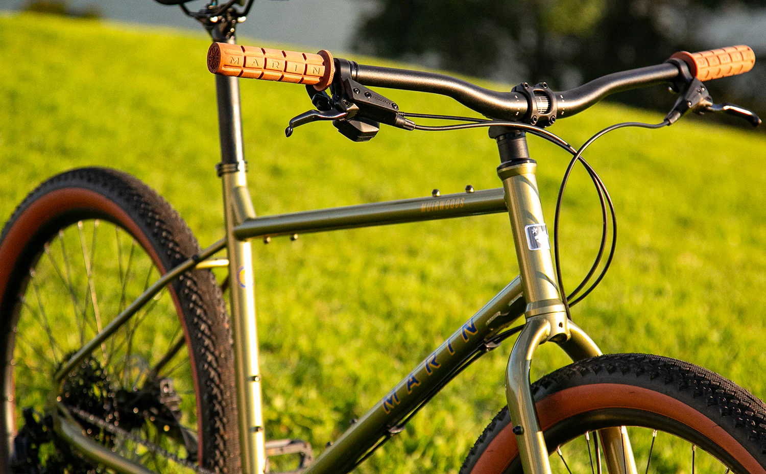 Marin Muirwoods - Steel Commuter Bike - Image 5