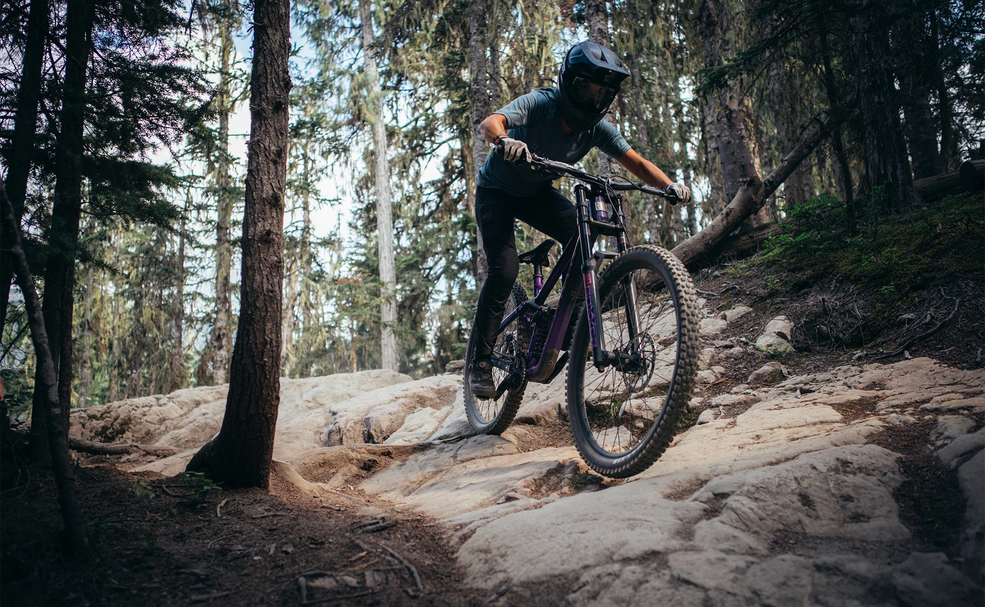 Marin Quake - Park/Freeride/Downhill Bike - Image 13