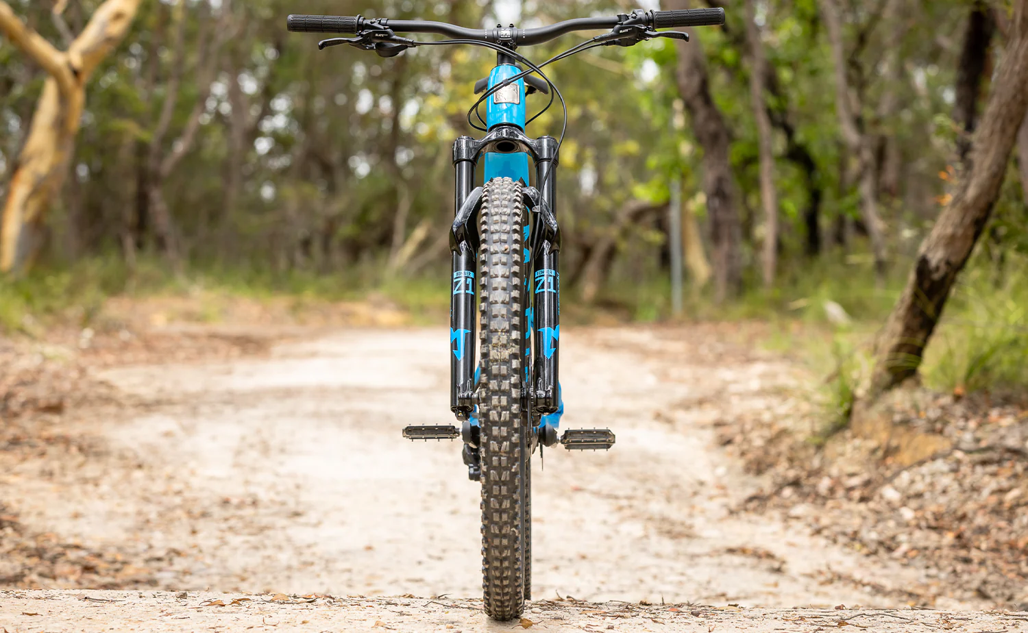 Marin Rift Zone EL1 - Bosch SX Lightweight eMountain Bike [XL only] - Image 4
