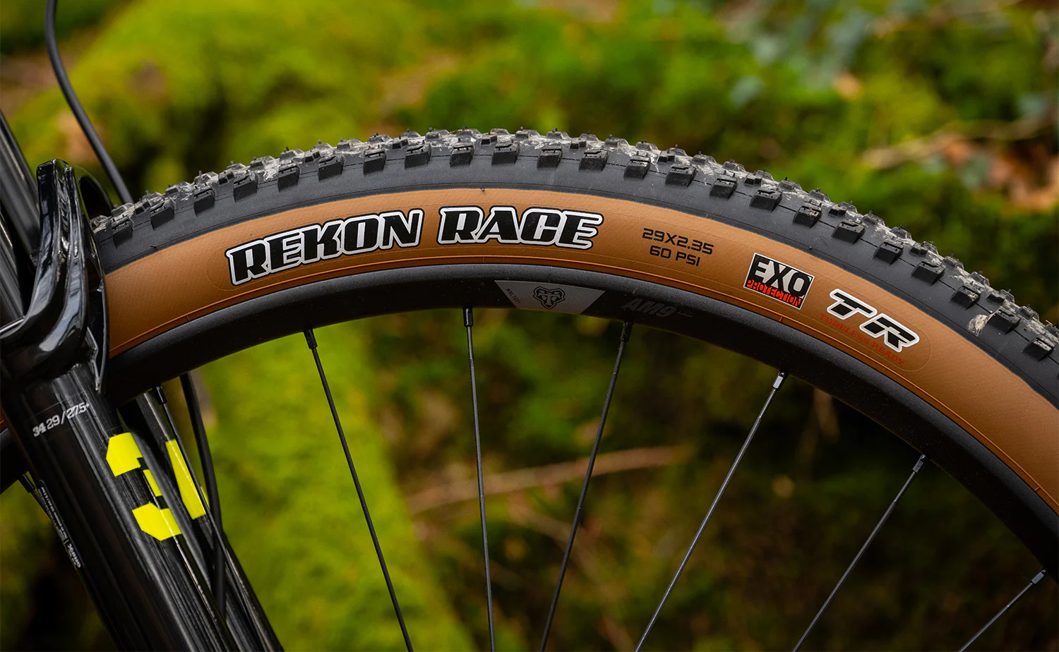 Marin TAM XR - Lightweight XC/DC Mountain Bike - Image 12