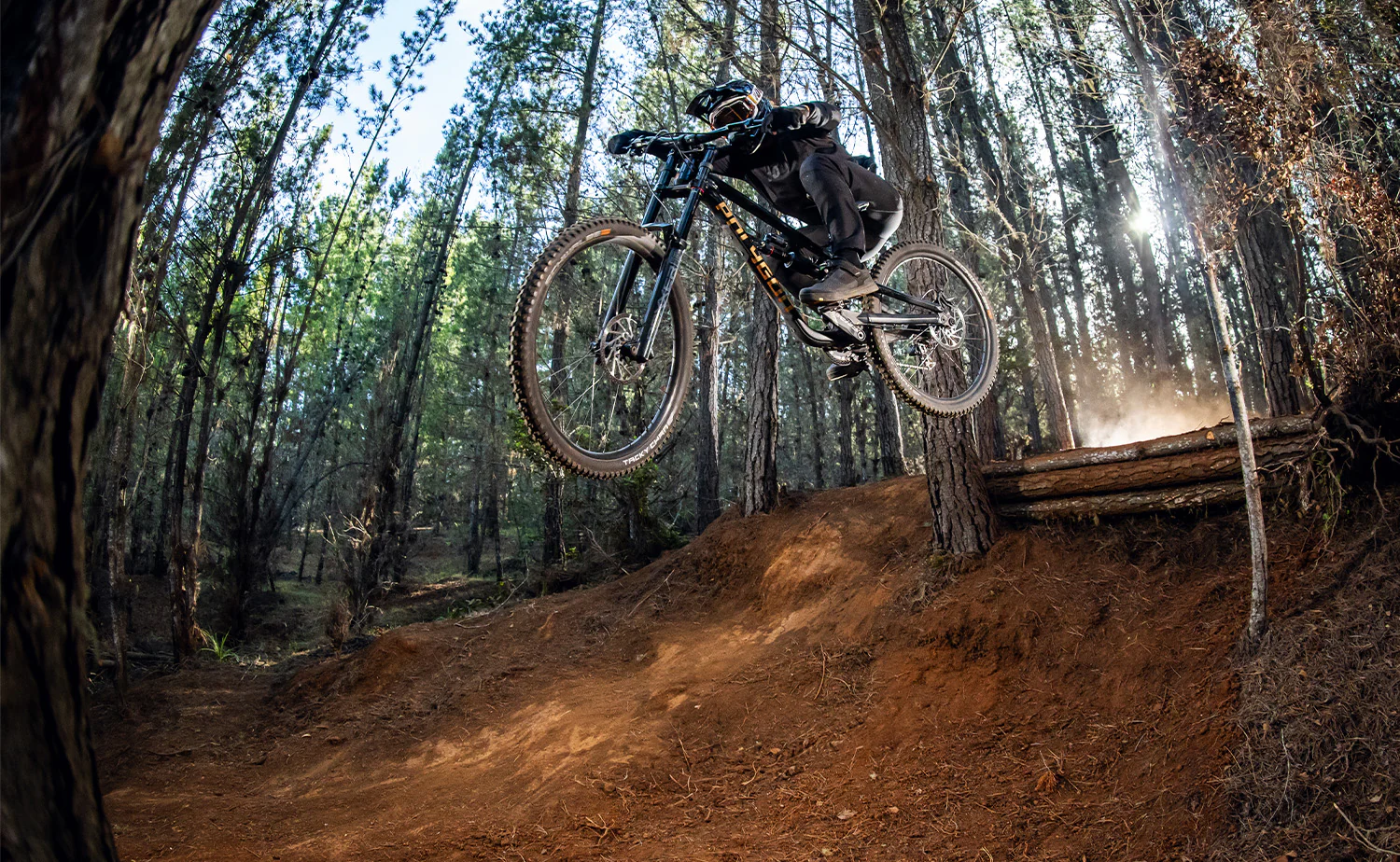 Polygon Collosus DH7 - Downhill Bike - Image 16