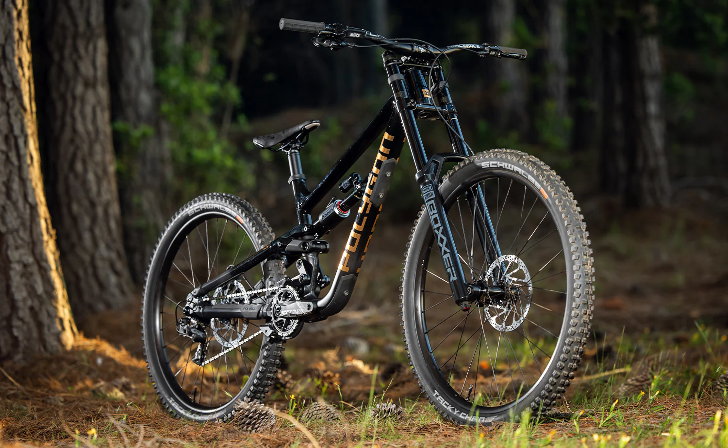 Polygon Collosus DH7 - Downhill Bike - Image 5