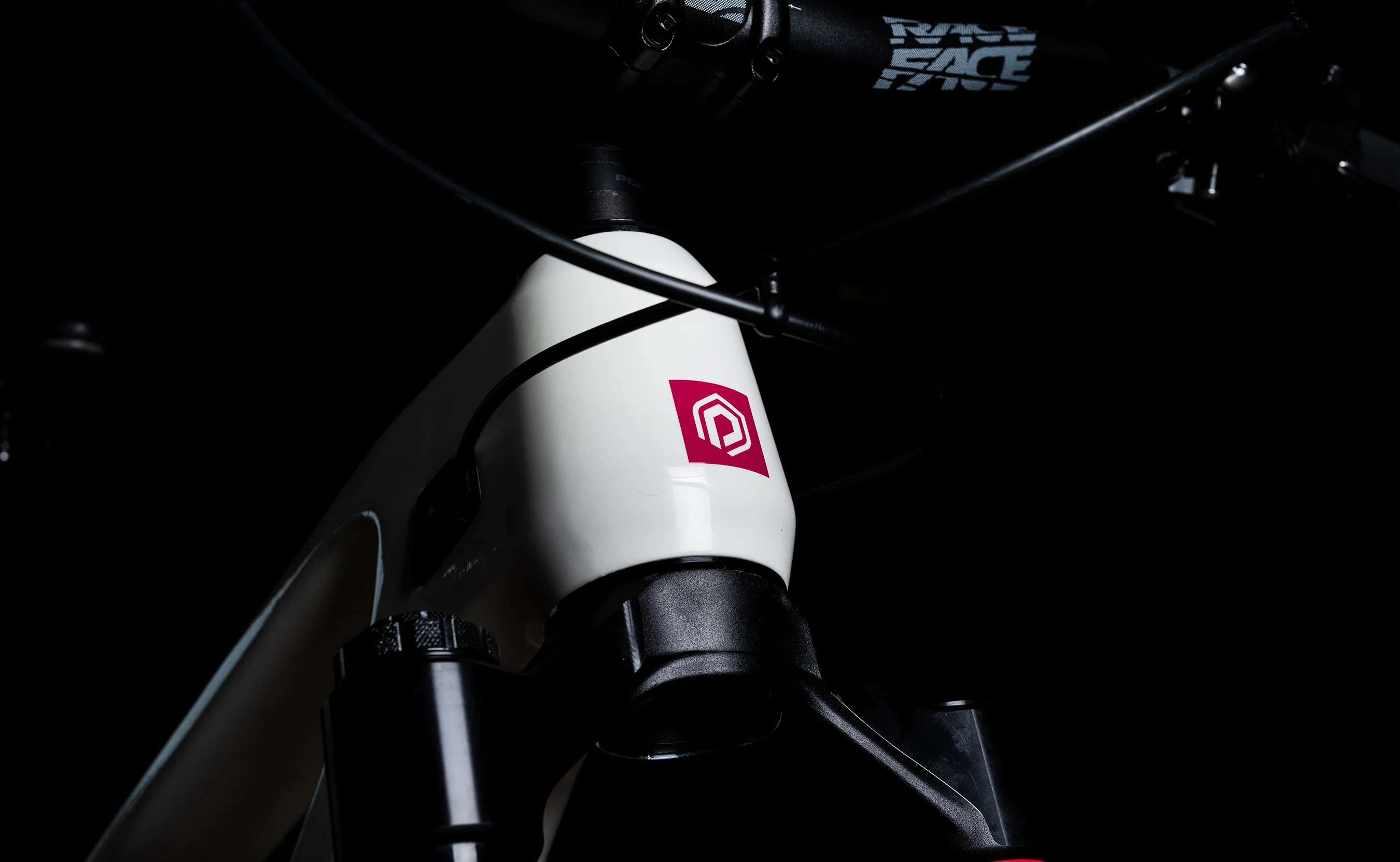 Polygon Collosus N9 Carbon - Enduro Mountain Bike - Image 14