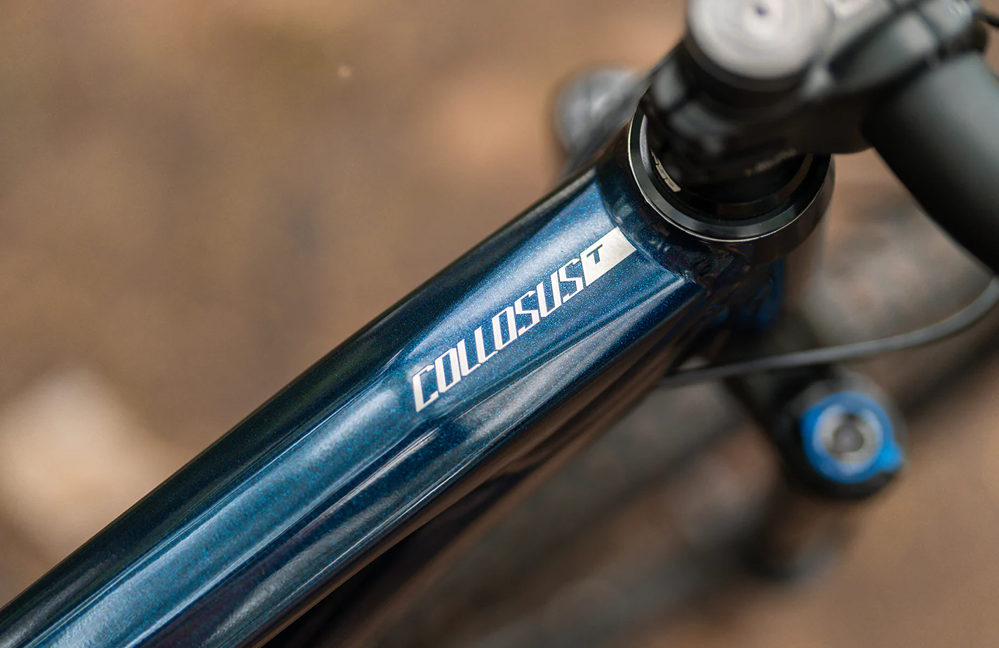 Polygon Collosus T5 – All-Mountain Bike - Image 11