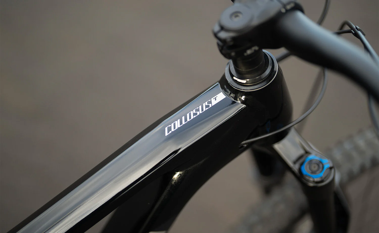 Polygon Collosus T6 – All-Mountain Bike - Image 11