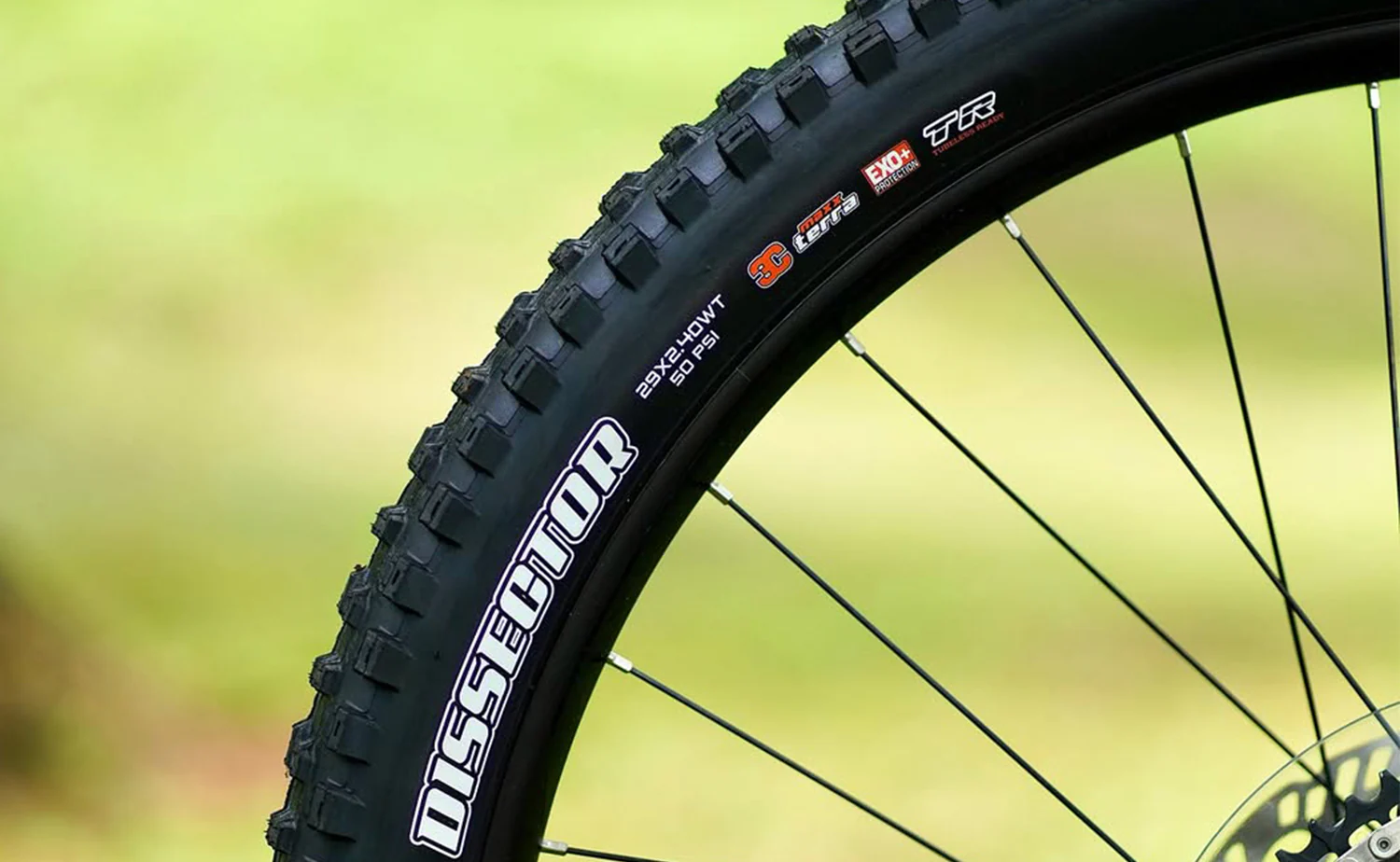 Polygon Collosus TE 8 - Bosch CX Carbon eMTB - Image 15