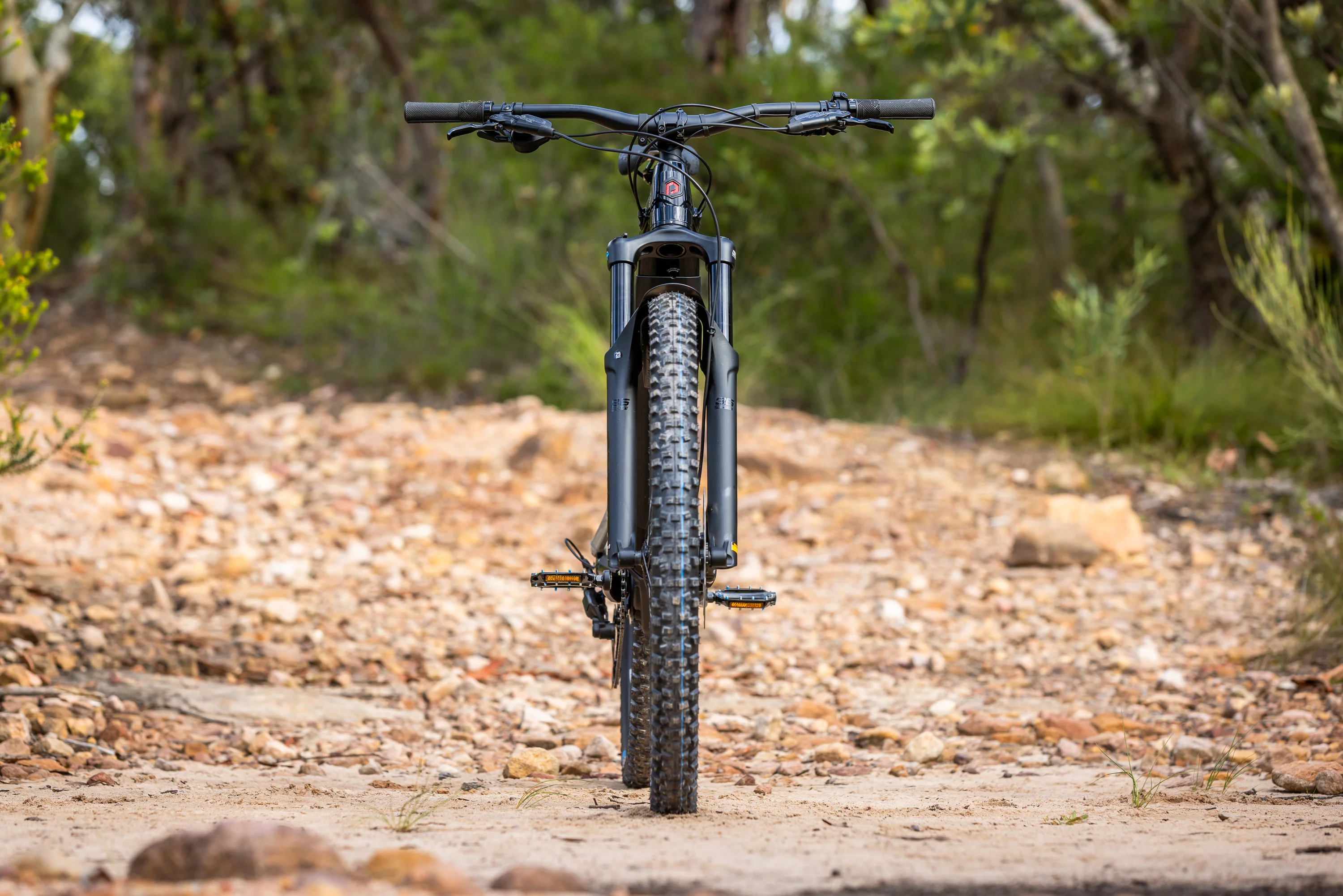 Polygon Siskiu T6E - E-Mountain Bike - Image 4
