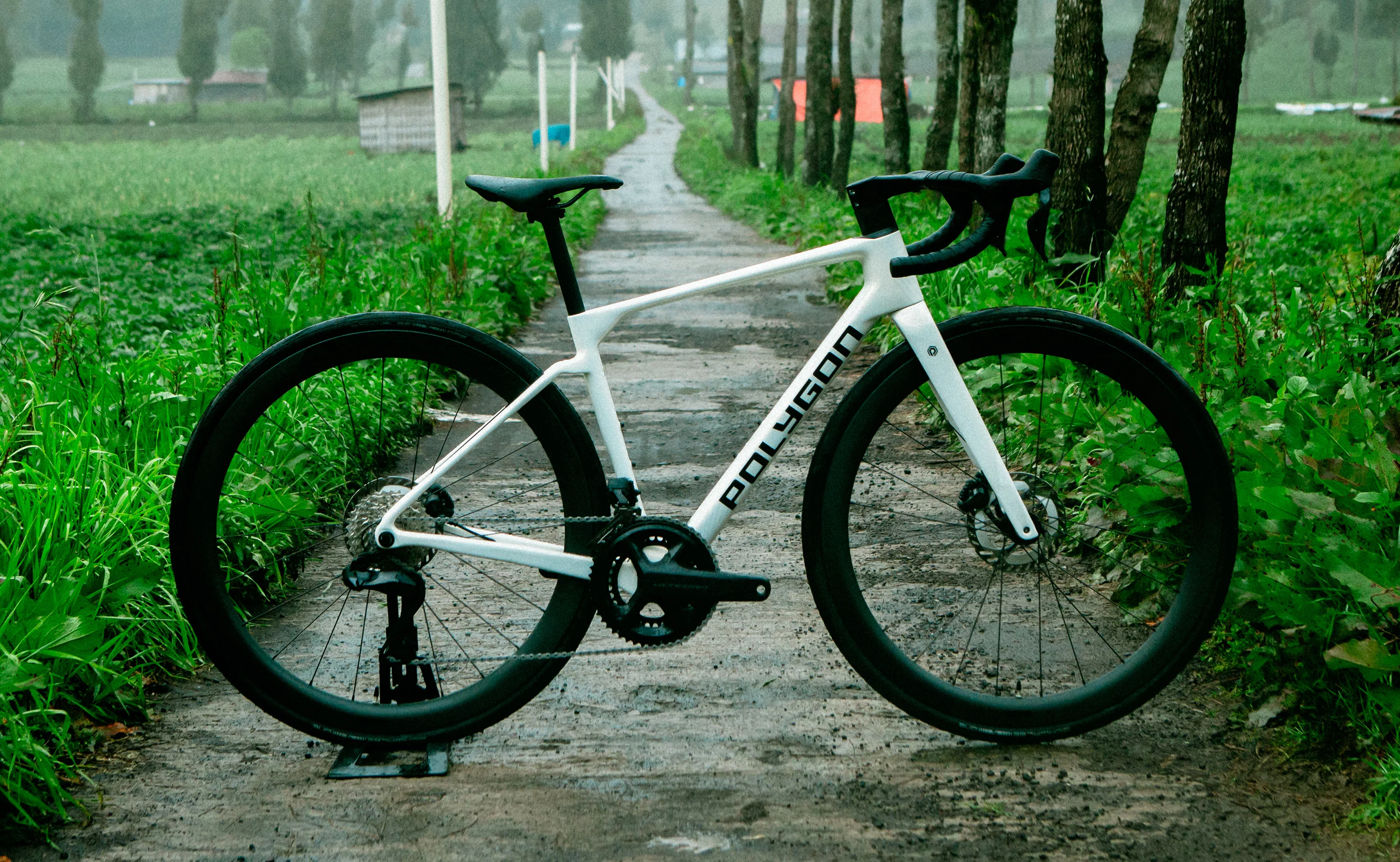 Polygon Strattos C8 - Ultegra Di2 Carbon Endurance Bike - Image 5