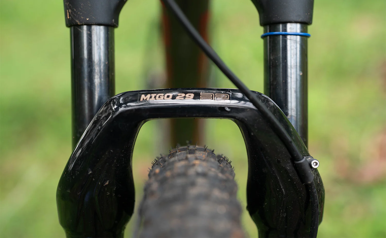 Polygon Xtrada 6 - Mountain Bike [New] - Image 11