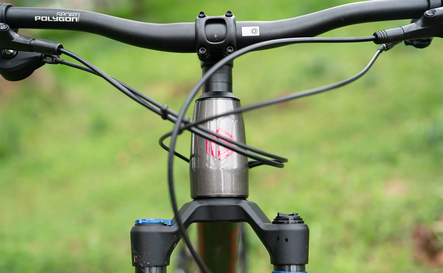 Polygon Xtrada 6 - Mountain Bike [New] - Image 7