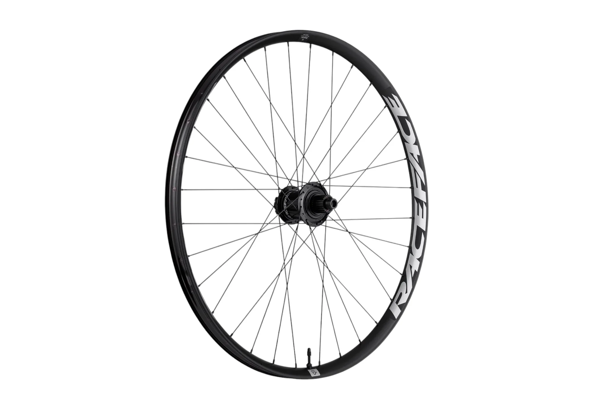 Raceface Turbine E-MTB Alloy Rear Wheel - Image 2