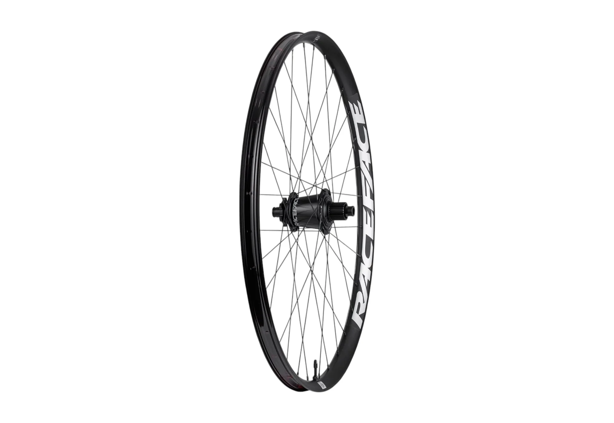 Raceface Turbine E-MTB Alloy Rear Wheel - Image 3