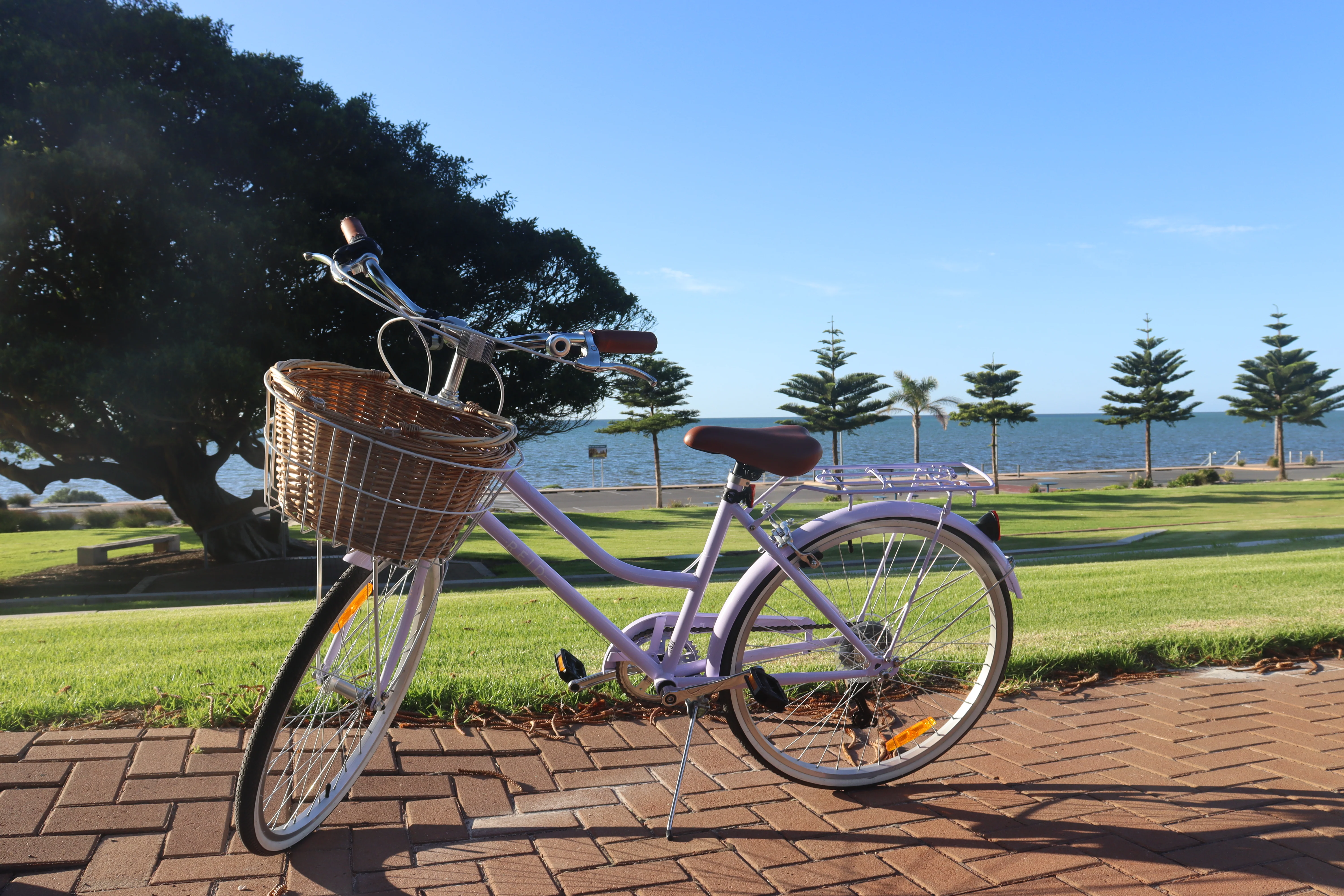 Reid - Ladies Petite 24-inch Vintage Bike - Image 13