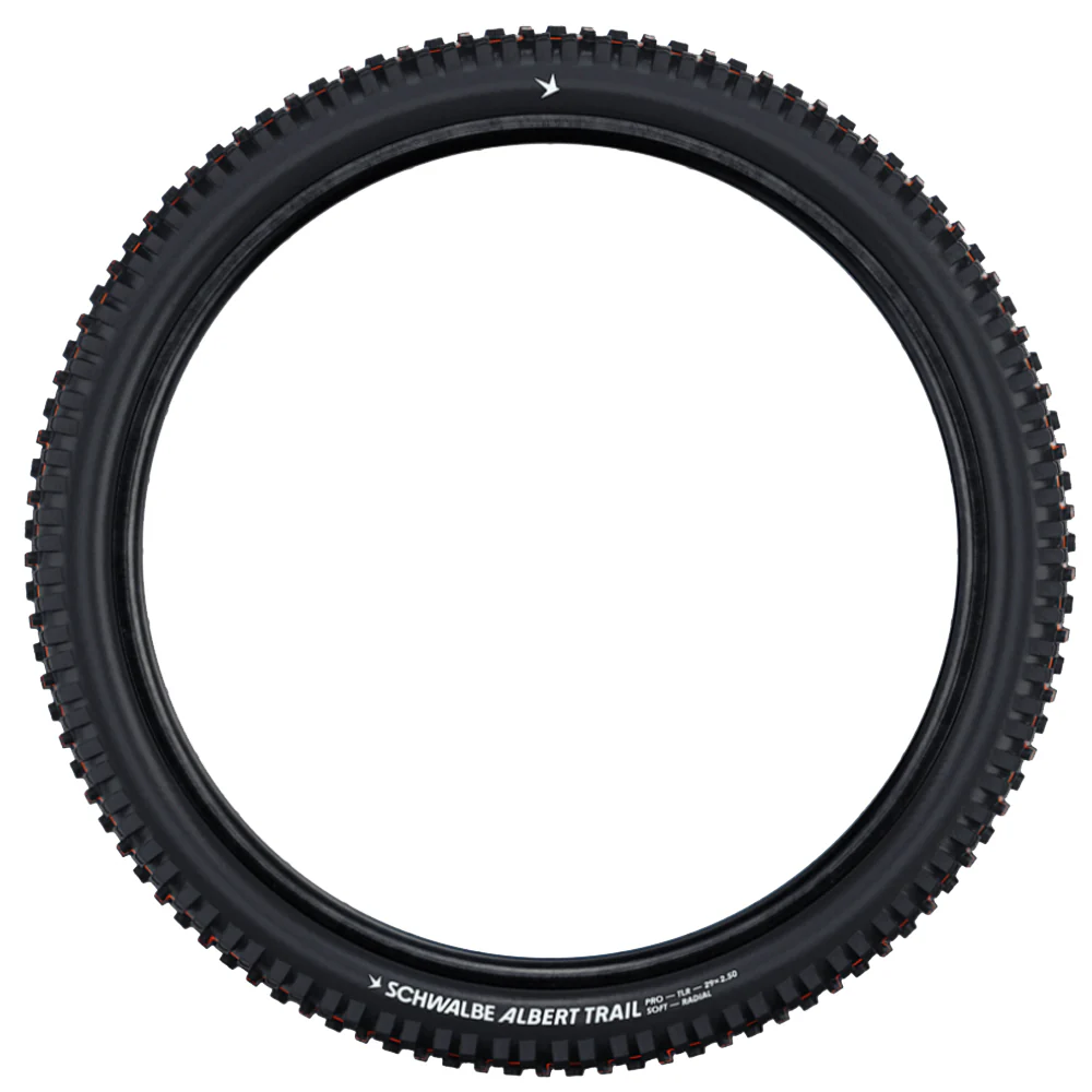 Schwalbe Albert Radial Tyre - Image 5