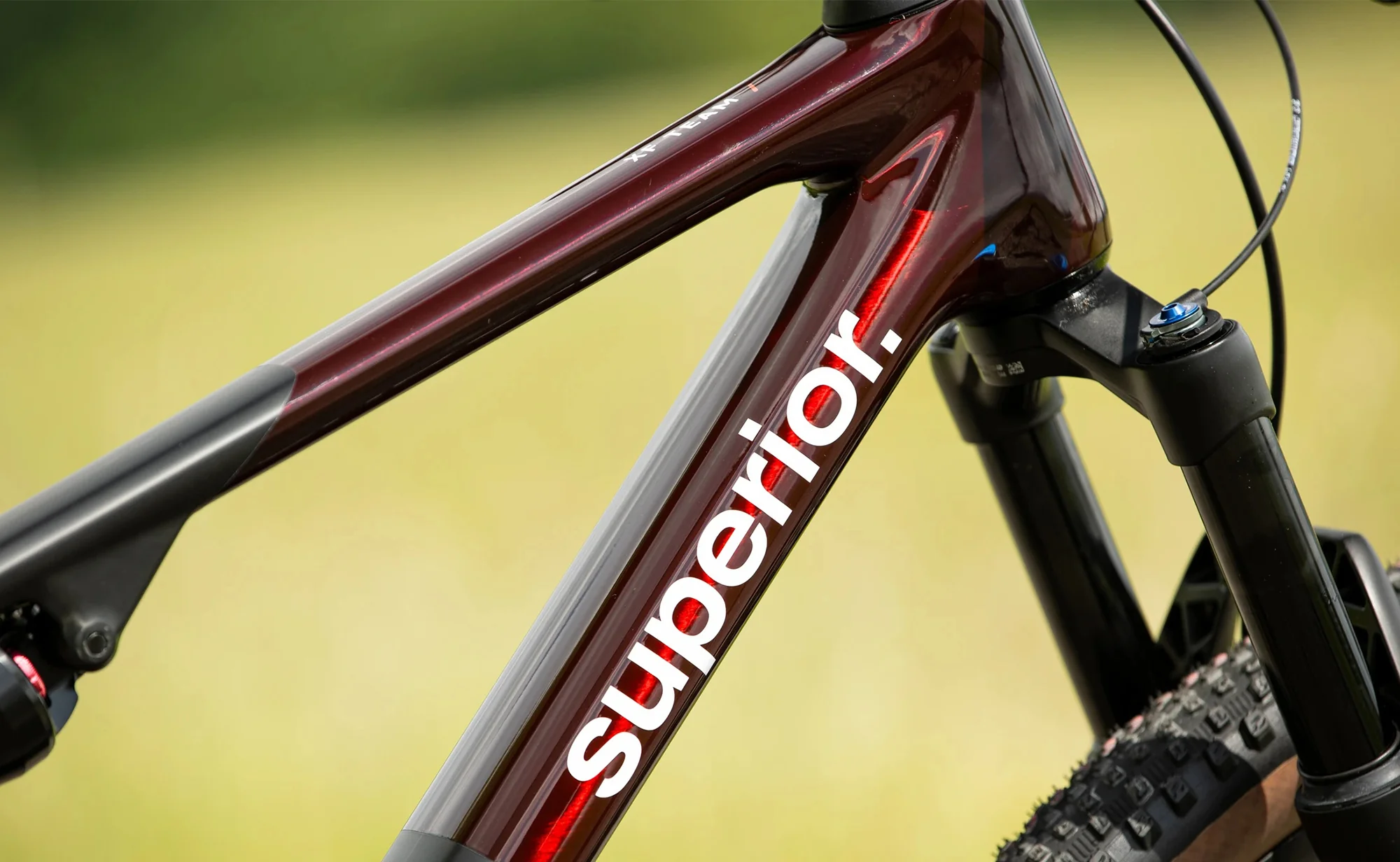 Superior XF 9.9 Team - XTR Di2 Carbon XC Mountain Bike - Image 4