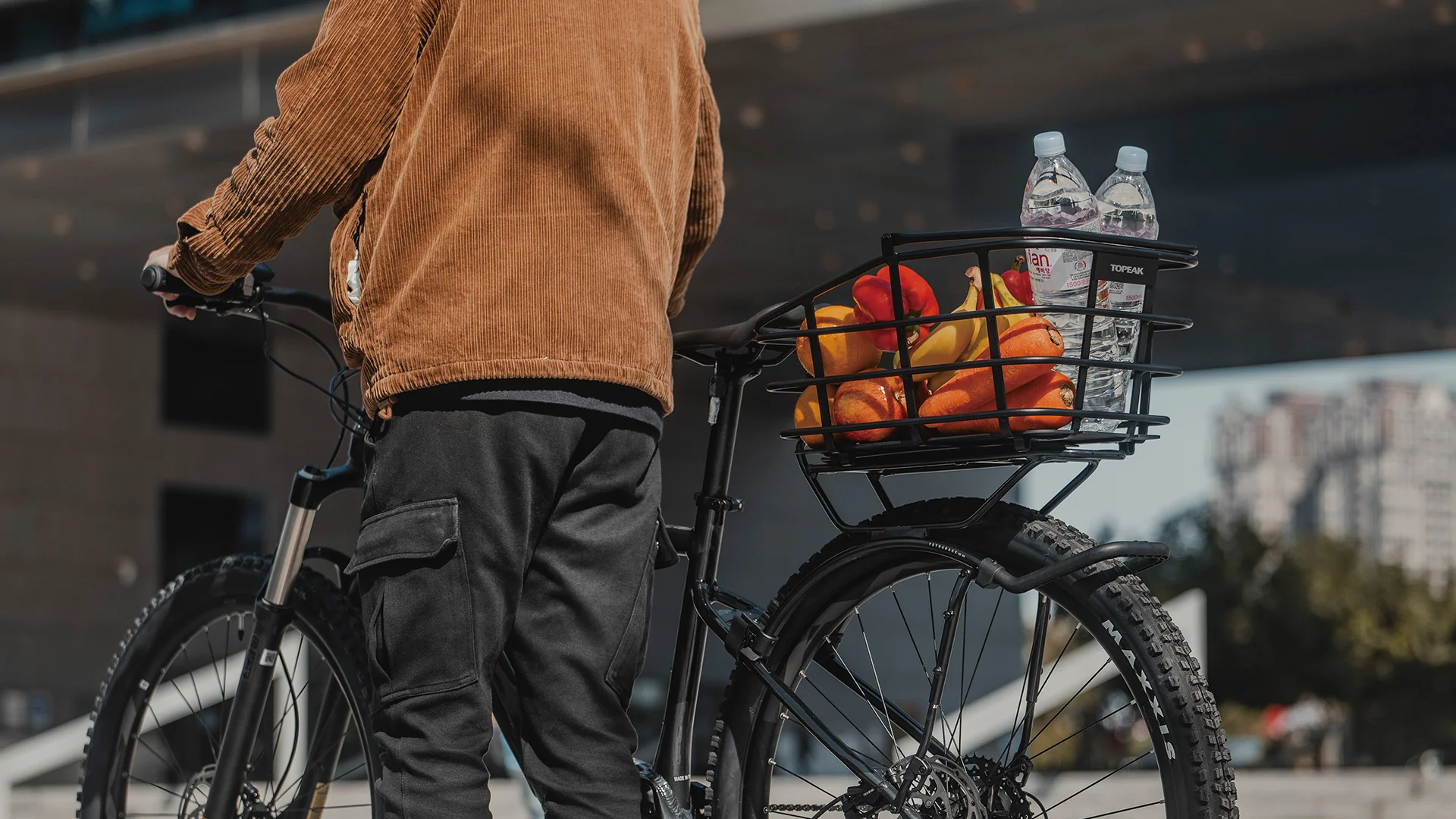 Topeak Urban Basket DX 22L Aluminium - Image 6